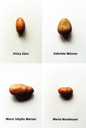 4x Potato Portrait - 20x30 cm each