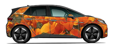 iD3_View from Outside_California Poppy Design